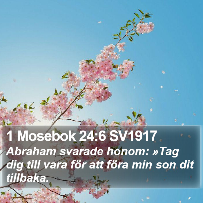 1 Mosebok 24:6 SV1917 Bible Study
