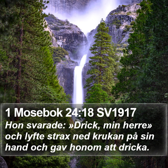 1 Mosebok 24:18 SV1917 Bible Study
