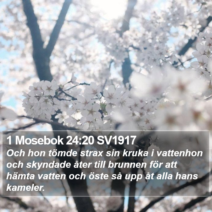 1 Mosebok 24:20 SV1917 Bible Study