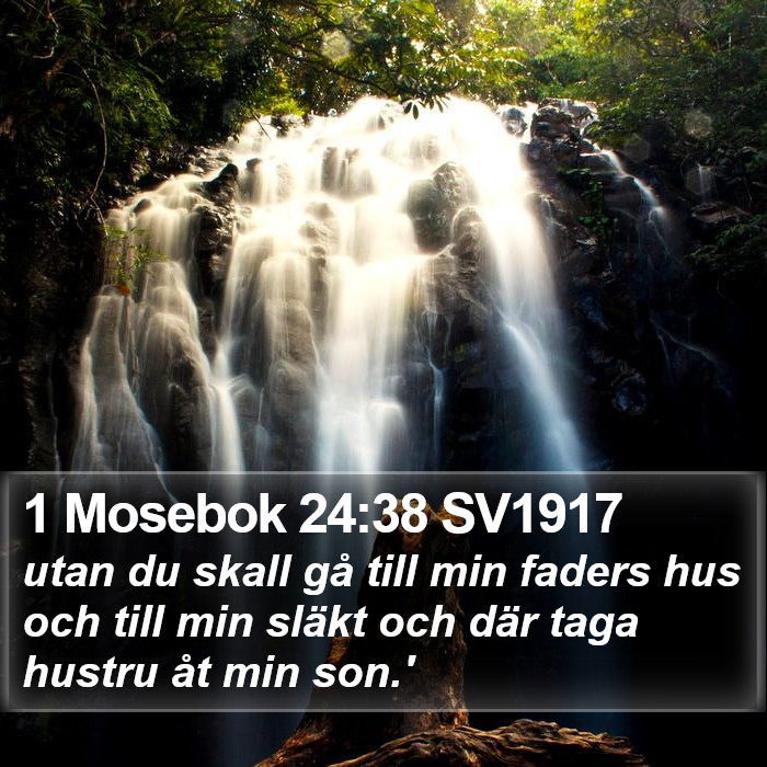 1 Mosebok 24:38 SV1917 Bible Study