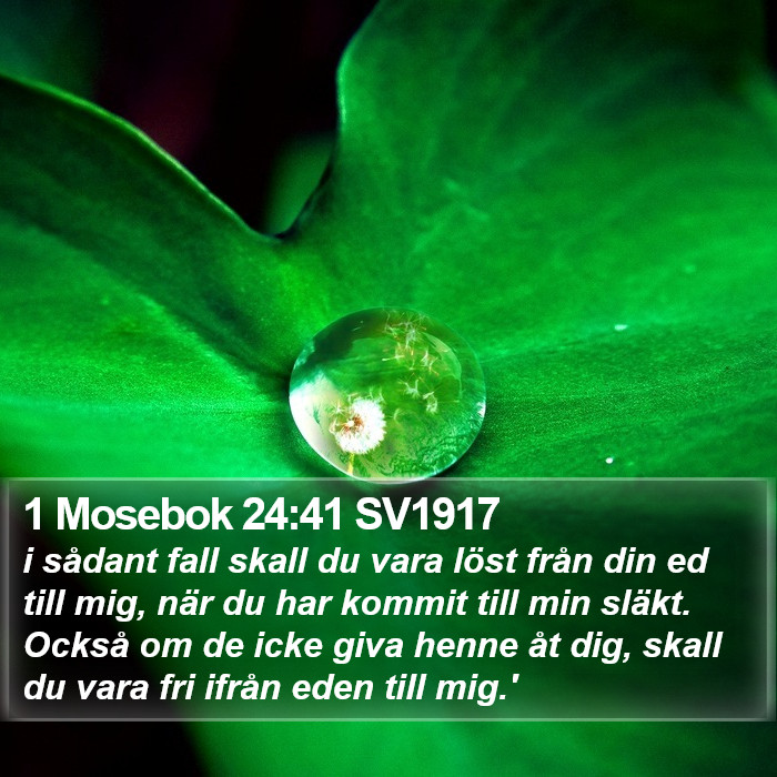 1 Mosebok 24:41 SV1917 Bible Study