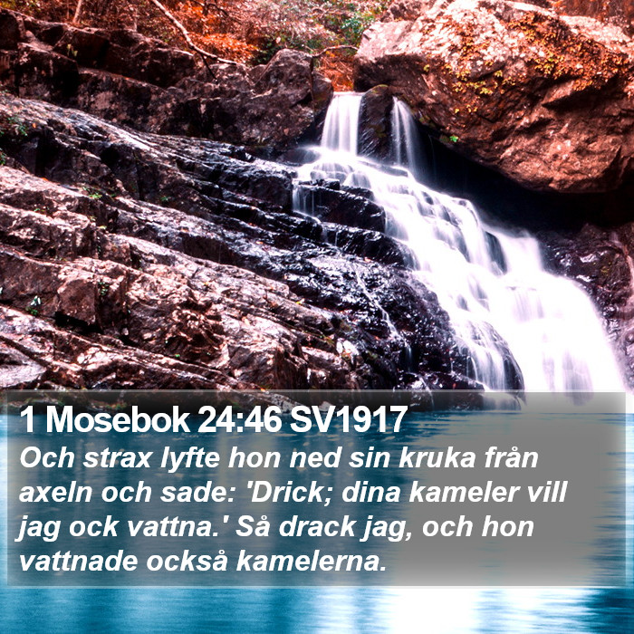1 Mosebok 24:46 SV1917 Bible Study