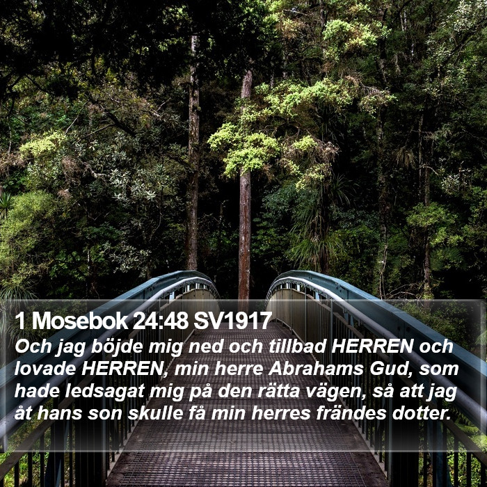 1 Mosebok 24:48 SV1917 Bible Study