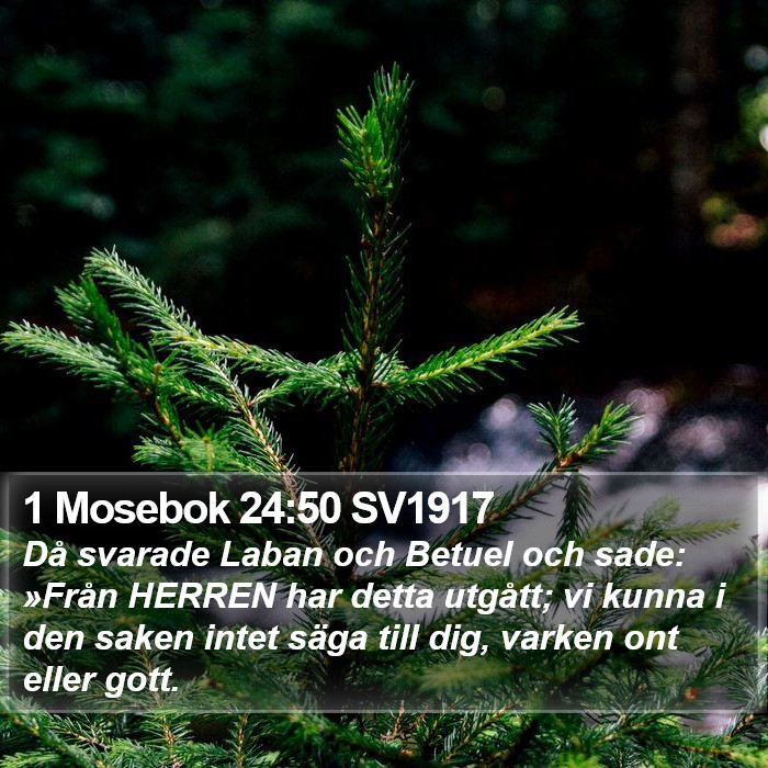 1 Mosebok 24:50 SV1917 Bible Study