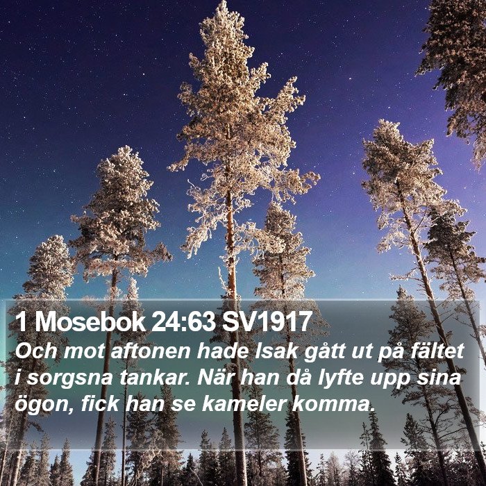 1 Mosebok 24:63 SV1917 Bible Study