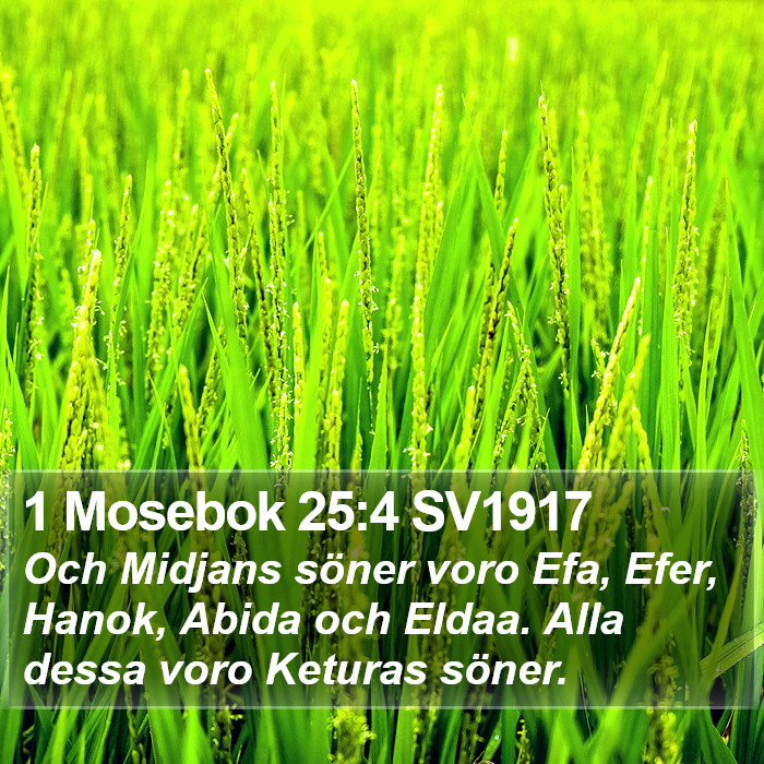 1 Mosebok 25:4 SV1917 Bible Study