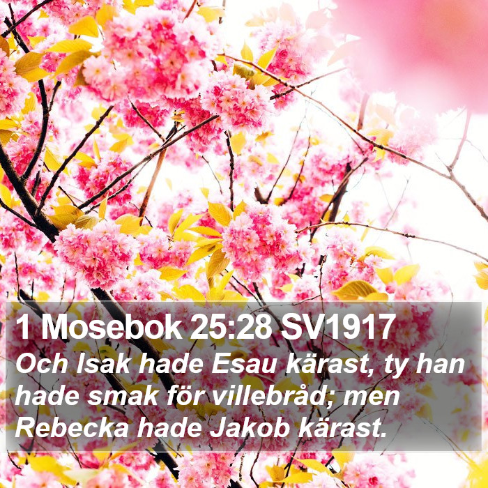 1 Mosebok 25:28 SV1917 Bible Study