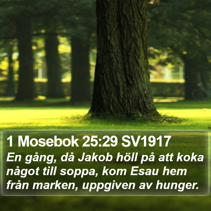 1 Mosebok 25:29 SV1917 Bible Study