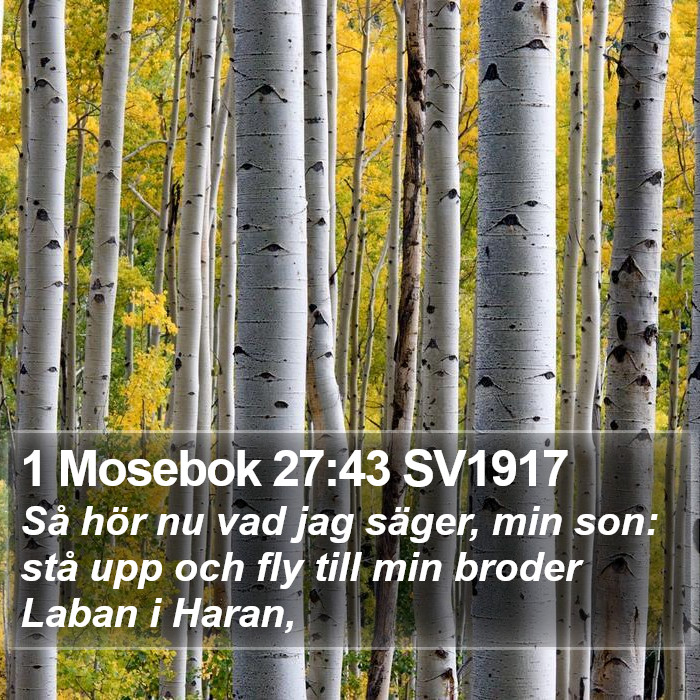 1 Mosebok 27:43 SV1917 Bible Study