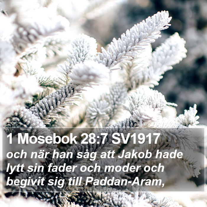 1 Mosebok 28:7 SV1917 Bible Study