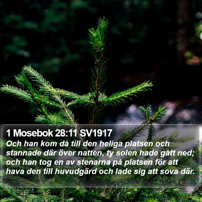 1 Mosebok 28:11 SV1917 Bible Study