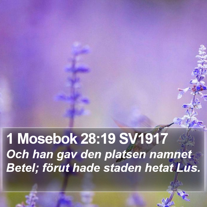 1 Mosebok 28:19 SV1917 Bible Study