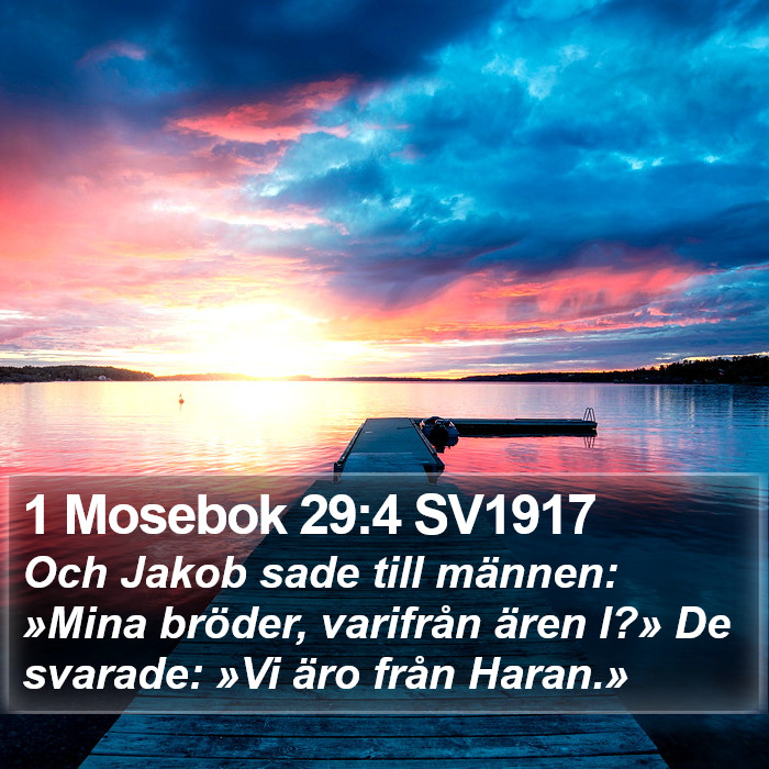 1 Mosebok 29:4 SV1917 Bible Study