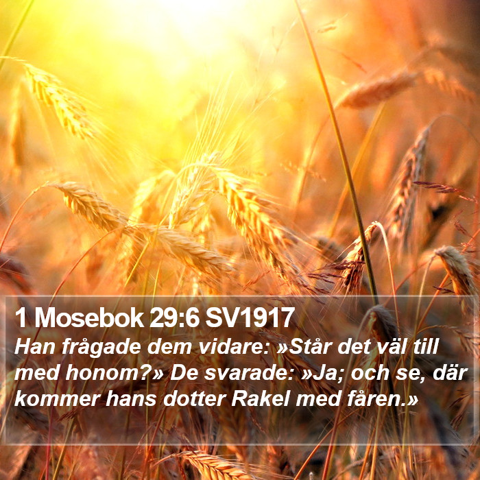 1 Mosebok 29:6 SV1917 Bible Study