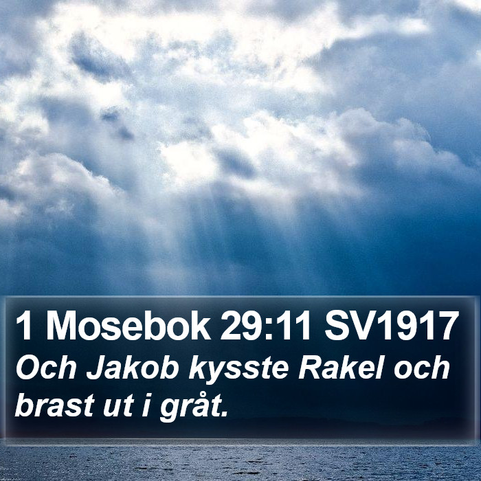 1 Mosebok 29:11 SV1917 Bible Study