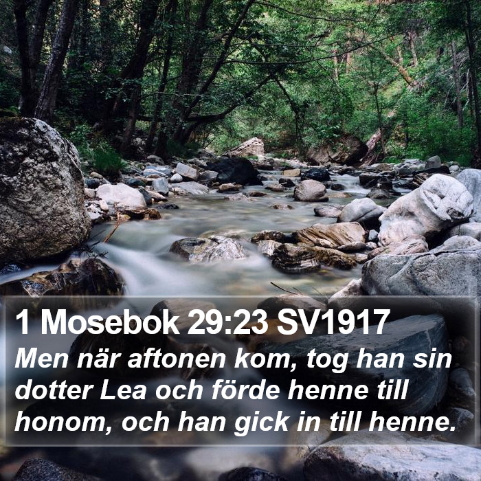 1 Mosebok 29:23 SV1917 Bible Study