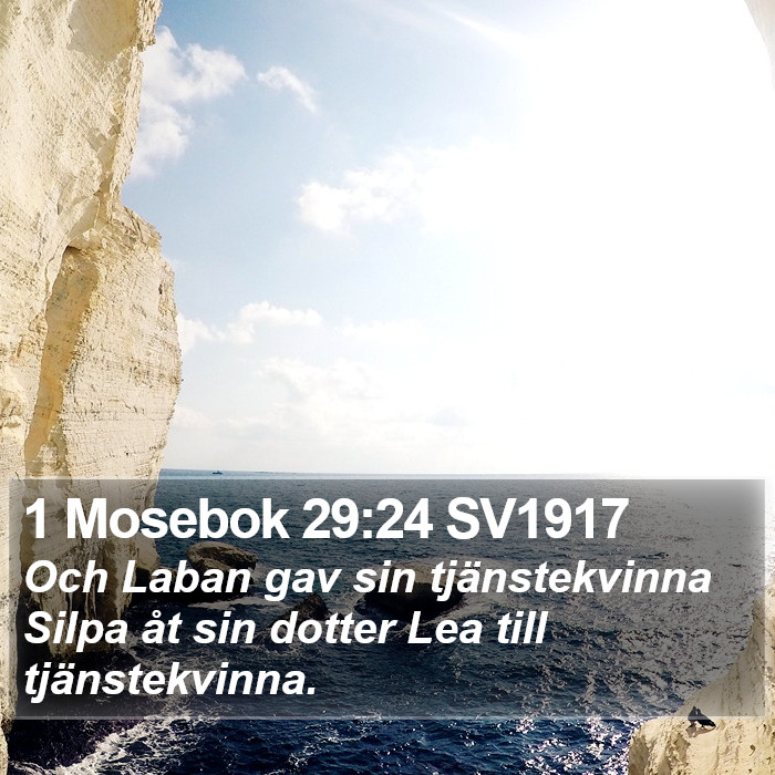 1 Mosebok 29:24 SV1917 Bible Study