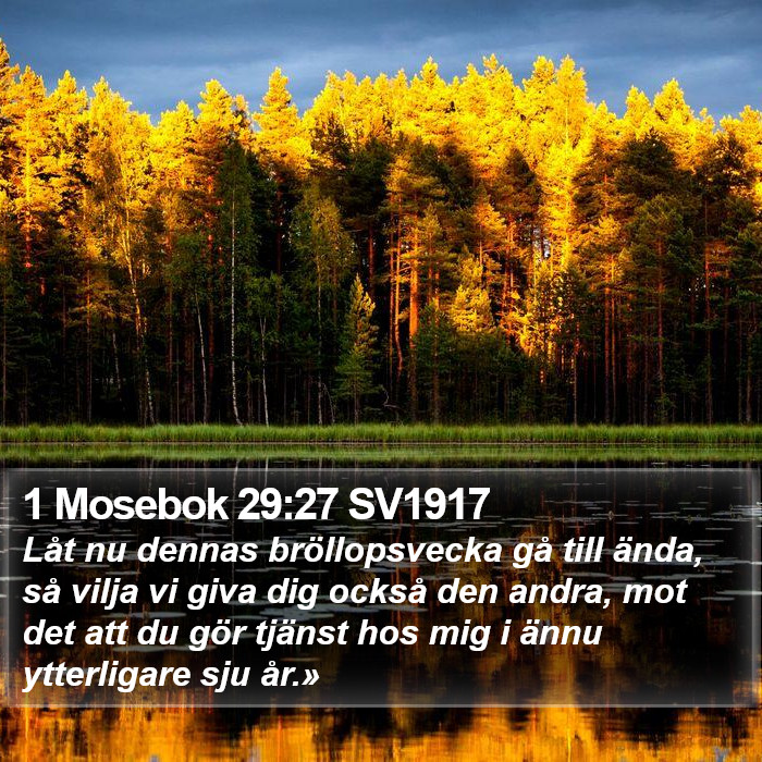 1 Mosebok 29:27 SV1917 Bible Study