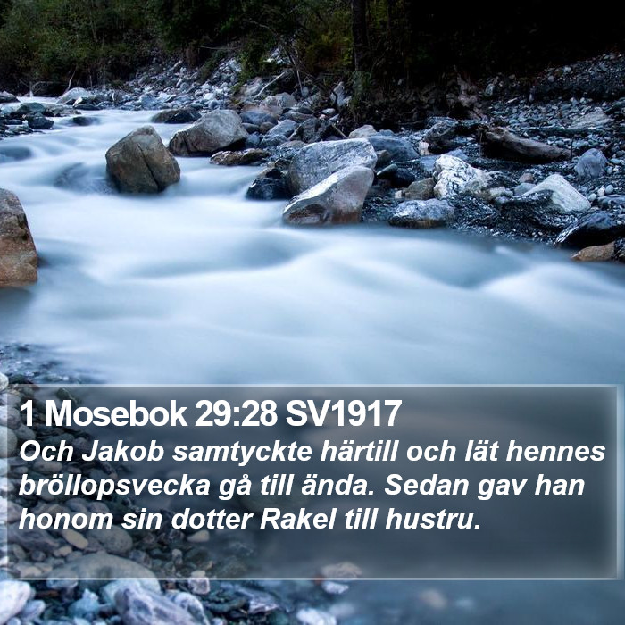 1 Mosebok 29:28 SV1917 Bible Study