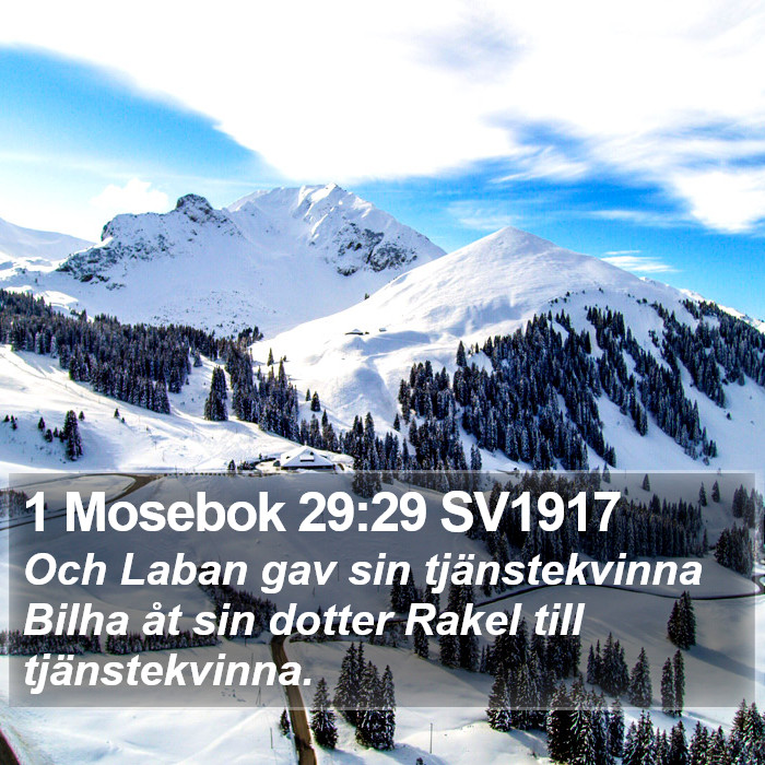 1 Mosebok 29:29 SV1917 Bible Study