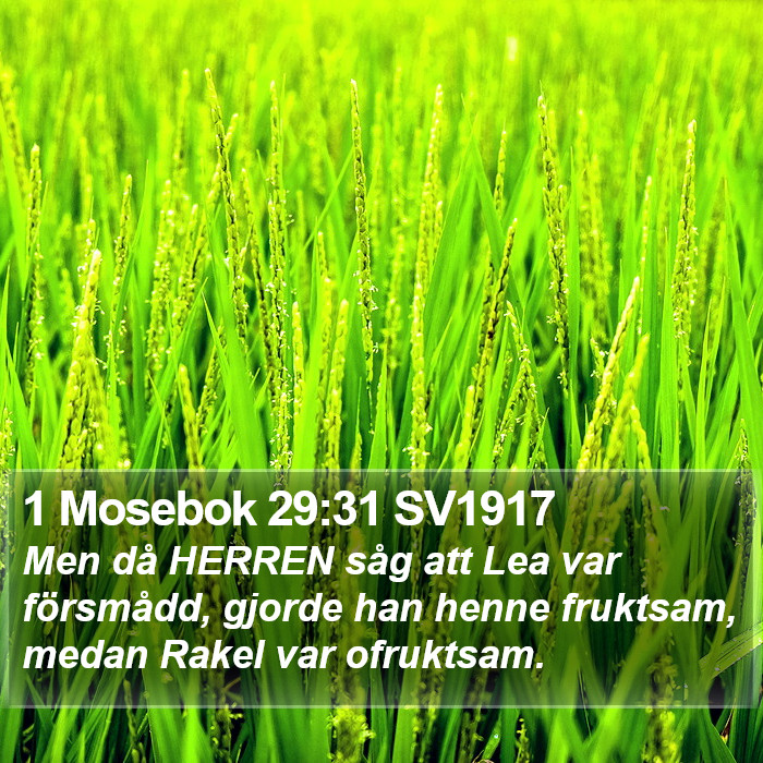 1 Mosebok 29:31 SV1917 Bible Study