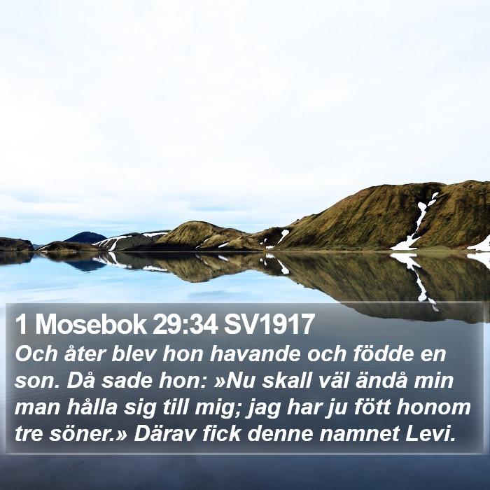 1 Mosebok 29:34 SV1917 Bible Study