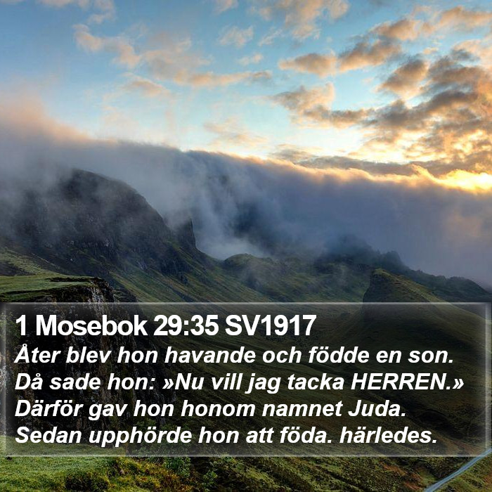 1 Mosebok 29:35 SV1917 Bible Study