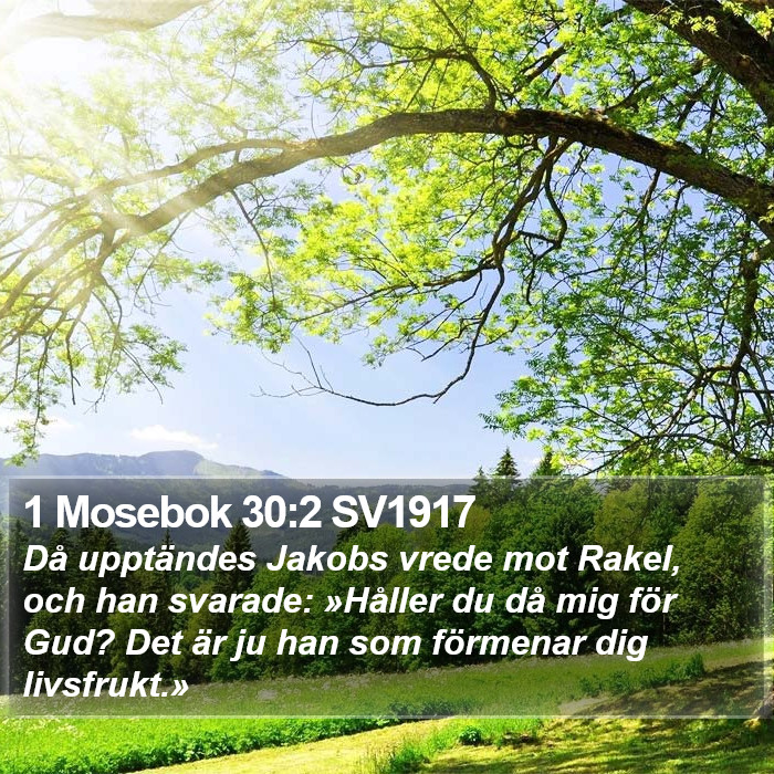 1 Mosebok 30:2 SV1917 Bible Study
