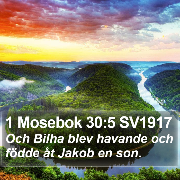 1 Mosebok 30:5 SV1917 Bible Study