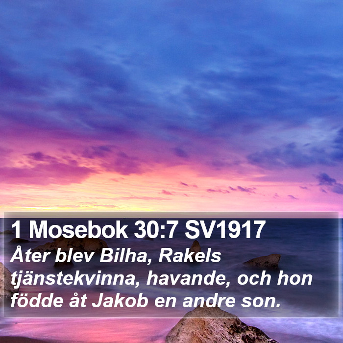 1 Mosebok 30:7 SV1917 Bible Study