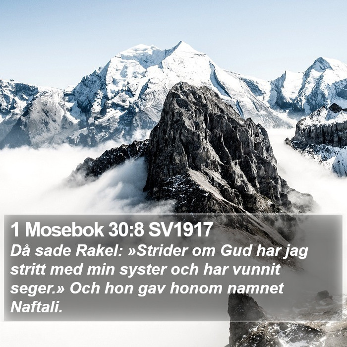 1 Mosebok 30:8 SV1917 Bible Study