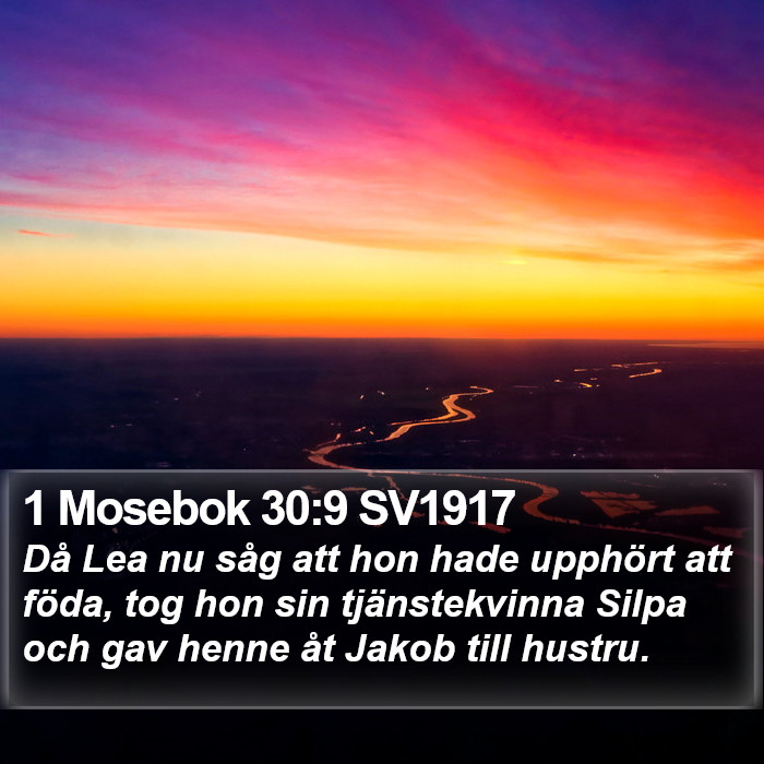1 Mosebok 30:9 SV1917 Bible Study