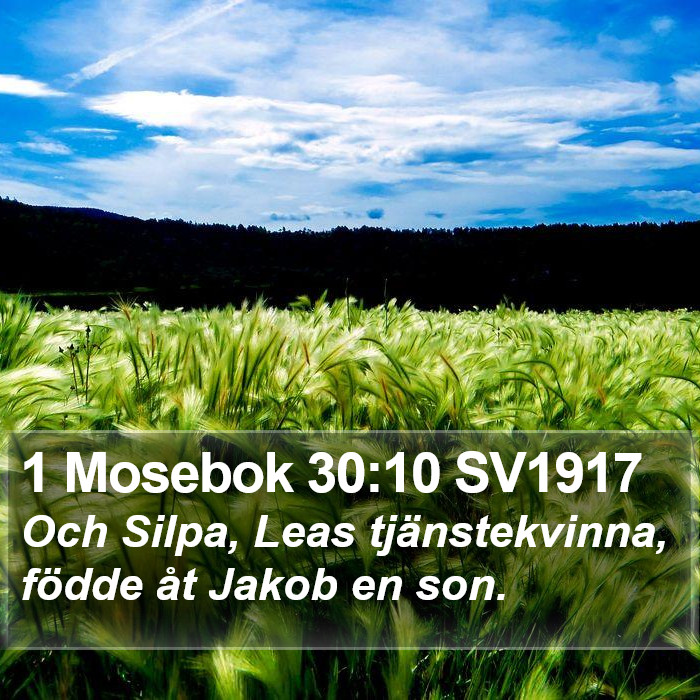 1 Mosebok 30:10 SV1917 Bible Study