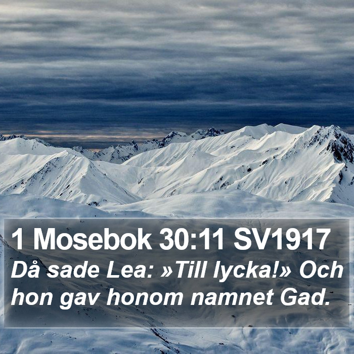 1 Mosebok 30:11 SV1917 Bible Study