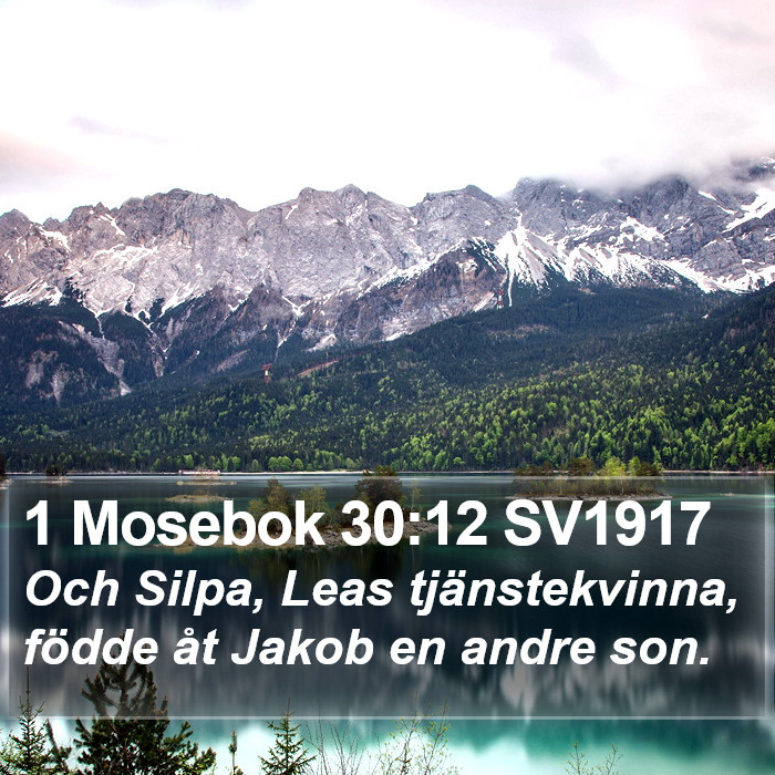 1 Mosebok 30:12 SV1917 Bible Study