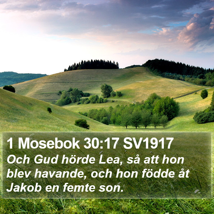 1 Mosebok 30:17 SV1917 Bible Study
