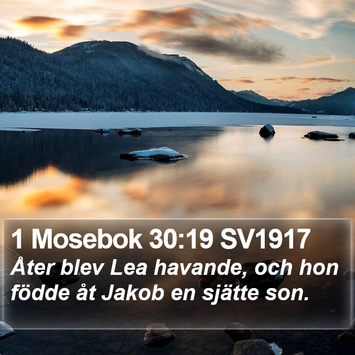 1 Mosebok 30:19 SV1917 Bible Study