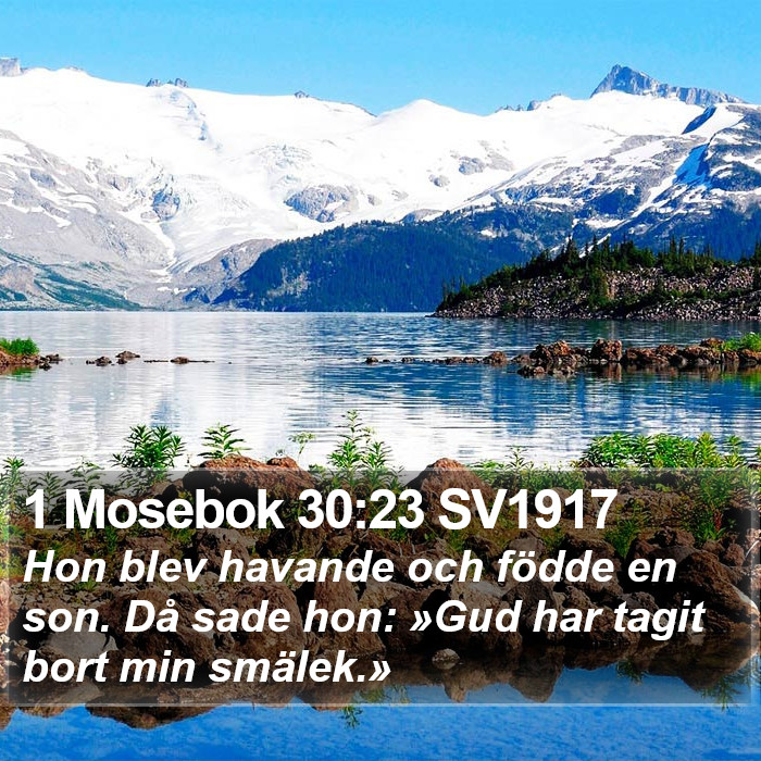 1 Mosebok 30:23 SV1917 Bible Study