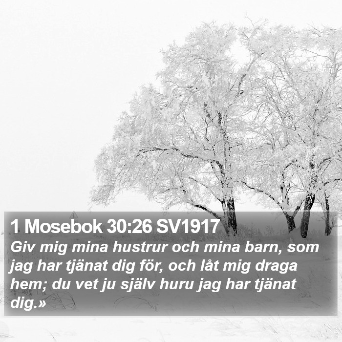 1 Mosebok 30:26 SV1917 Bible Study