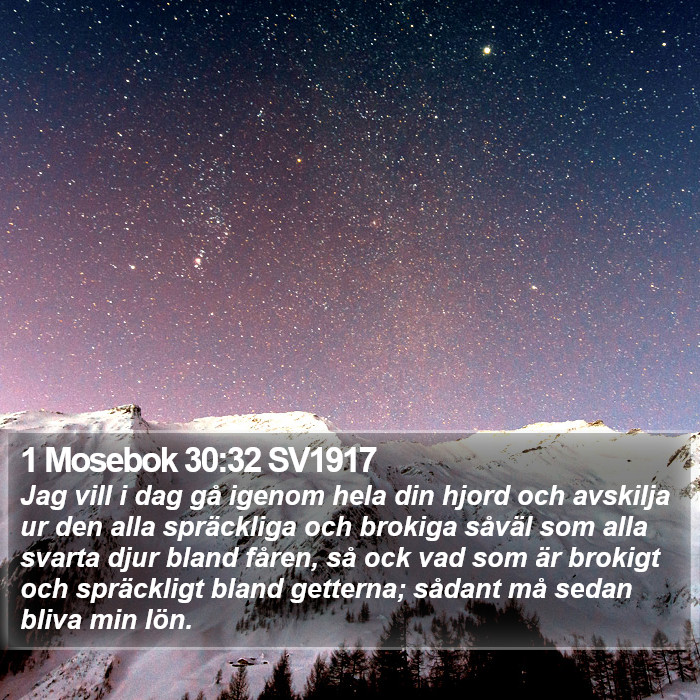 1 Mosebok 30:32 SV1917 Bible Study