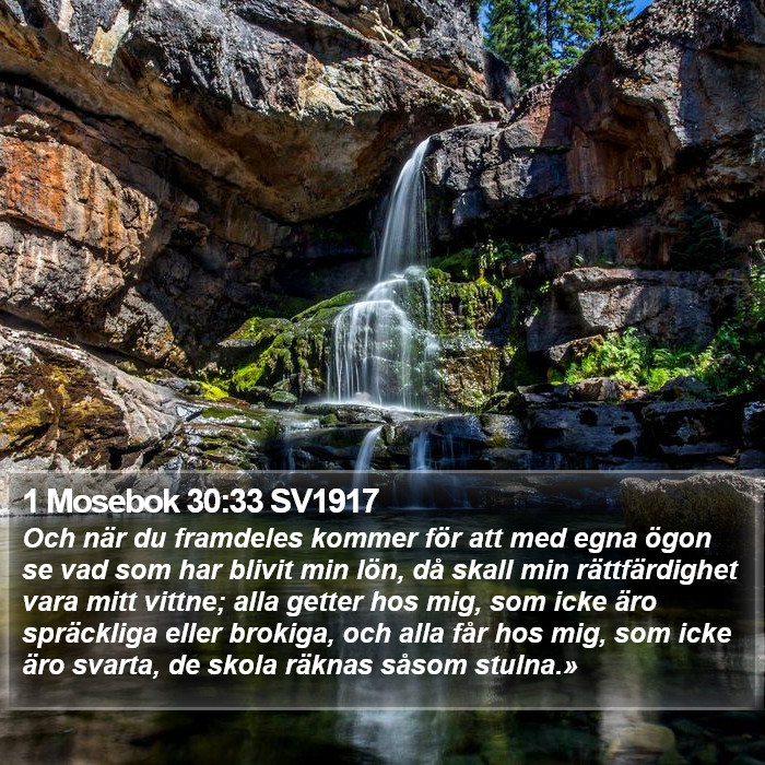1 Mosebok 30:33 SV1917 Bible Study