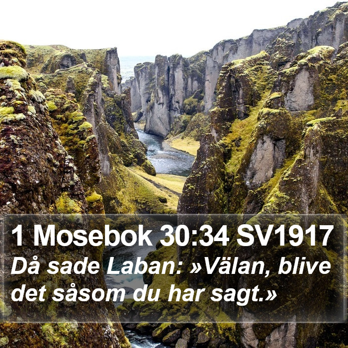 1 Mosebok 30:34 SV1917 Bible Study