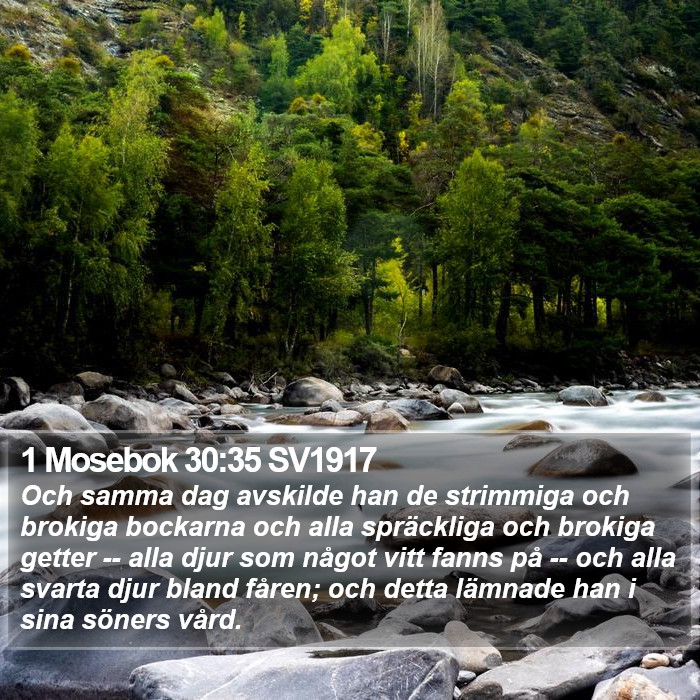 1 Mosebok 30:35 SV1917 Bible Study