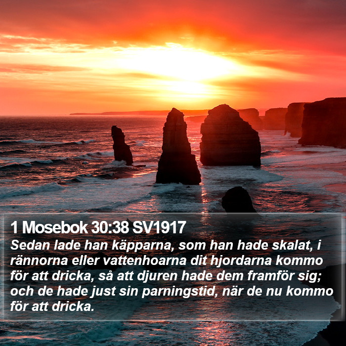 1 Mosebok 30:38 SV1917 Bible Study