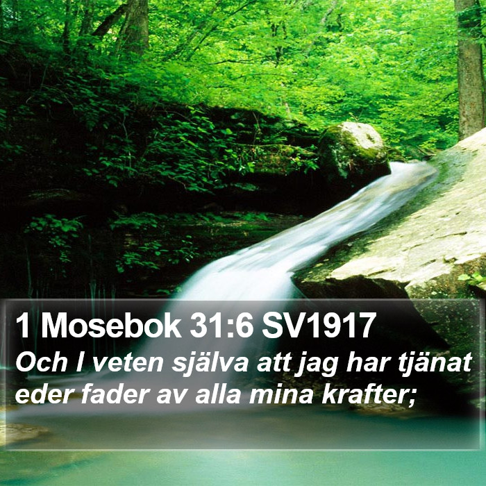 1 Mosebok 31:6 SV1917 Bible Study