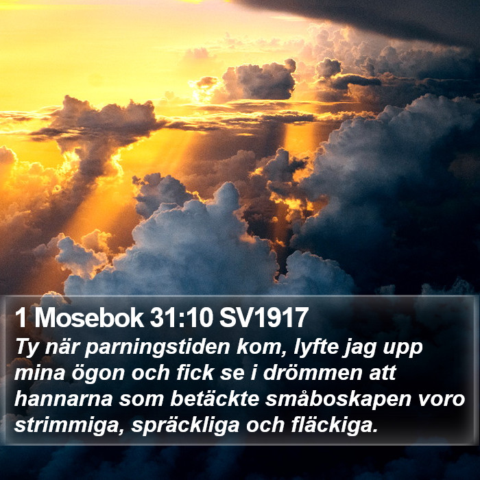 1 Mosebok 31:10 SV1917 Bible Study