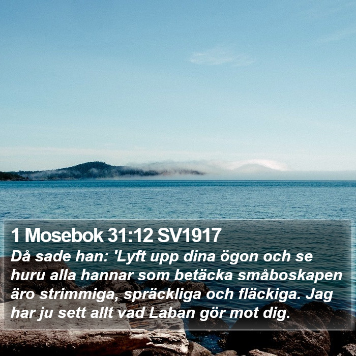 1 Mosebok 31:12 SV1917 Bible Study