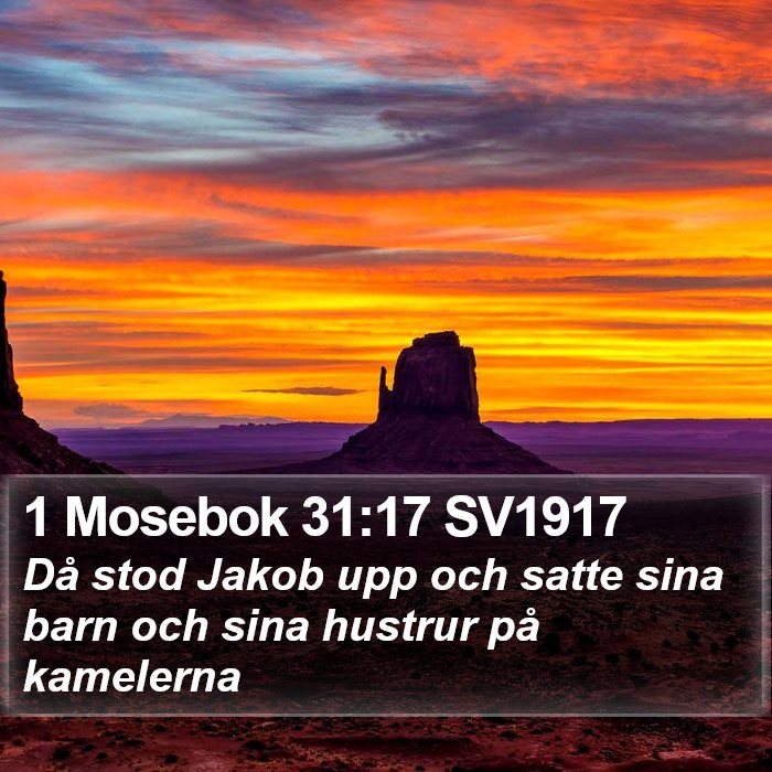 1 Mosebok 31:17 SV1917 Bible Study