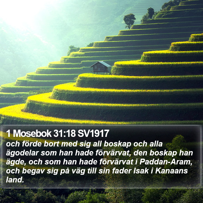 1 Mosebok 31:18 SV1917 Bible Study