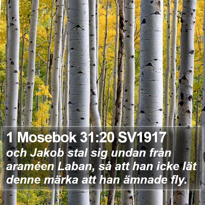 1 Mosebok 31:20 SV1917 Bible Study